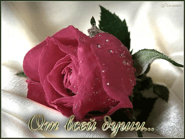 Красивые и приятные открытки гифки для женщины - розы, букеты роз 1