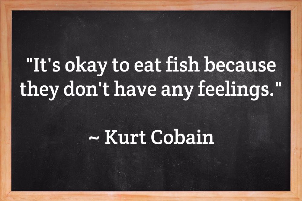 funny fishing quotes