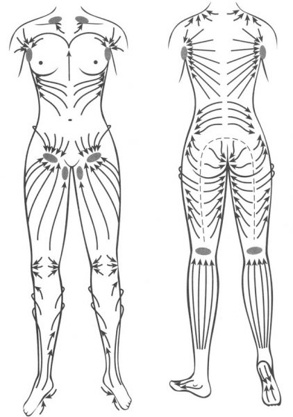 Направления тока лимфы в организме