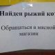 Прикольные объявления (12 фото)