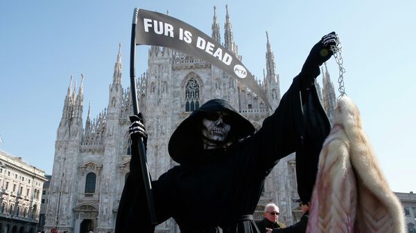 Участница организации по защите прав животных PETA во время акции протеста против использования меха в индустрии моды в Милане, Италия