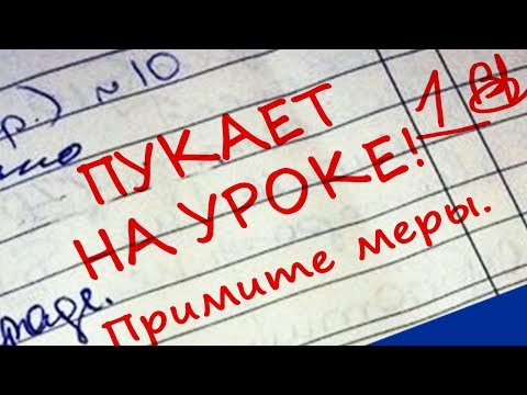 САМЫЕ УПОРОТЫЕ ЗАПИСИ В ШКОЛЬНЫХ ДНЕВНИКАХ И ТЕТРАДЯХ!