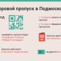 Подробнее о цифровых пропусках для выхода на улицу на самоизоляции