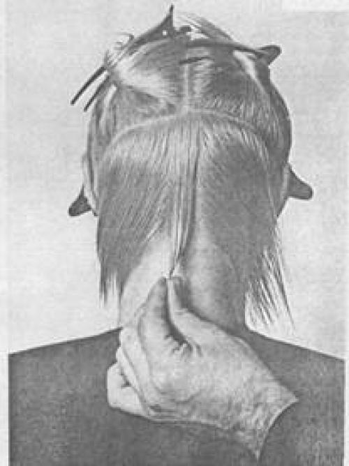 Схема женской стрижки на короткие волосы. Схема короткой молодежной женской стрижки с рваной окантовкой 01