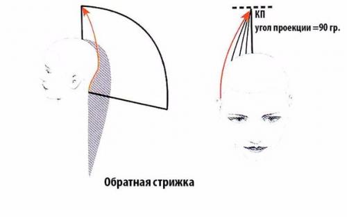 Прогрессивная форма стрижки. Прогрессивные формы стрижек: