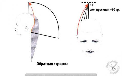 Равномерная форма стрижки. Прогрессивная форма стрижки.