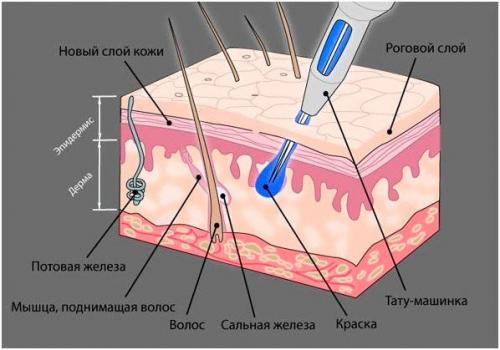 Напыление бровей до и после. Что такое напыление бровей