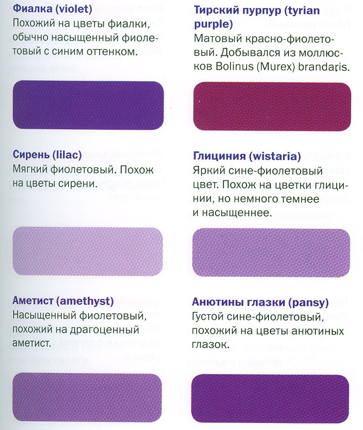 Оттенки фиолетового цвета