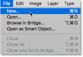 Selecting the New command from under the File menu.