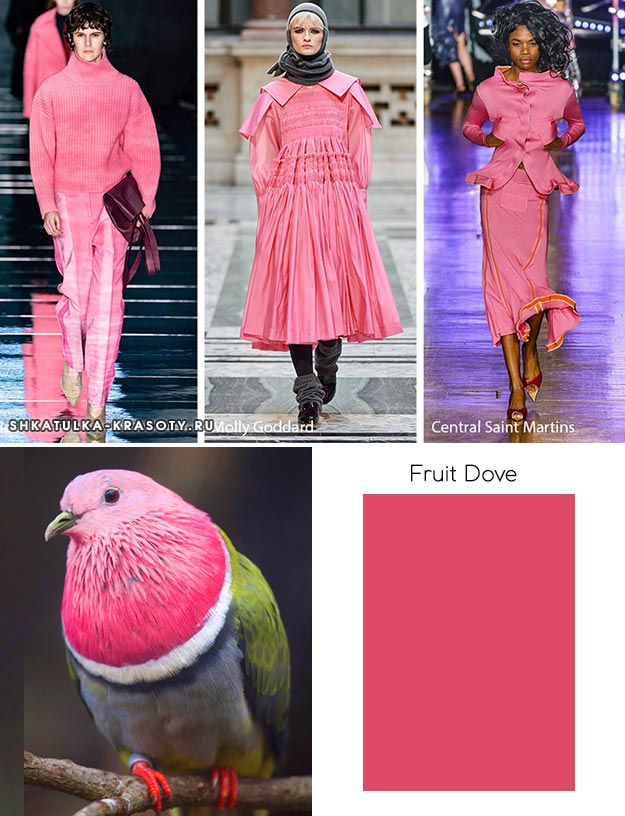 Fruit Dove (Фруктовый голубь) - модный цвет осень зима 2019 2020