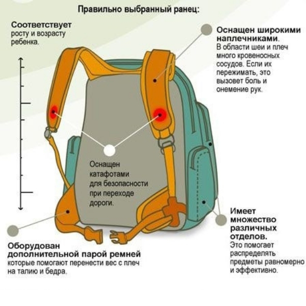 Выбор ранца