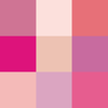 Shades of pink.png